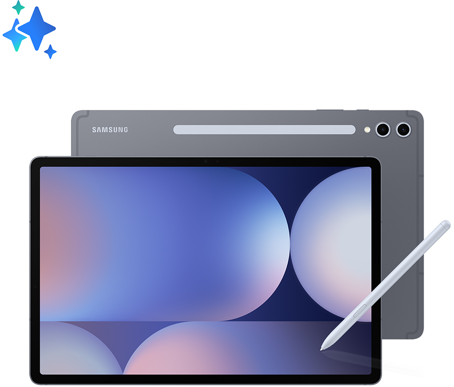 Picture of Picture of Tablet Samsung Galaxy Tab S10+ 12.4" (12 / 256GB) 120Hz WiFi Moonstone Gray