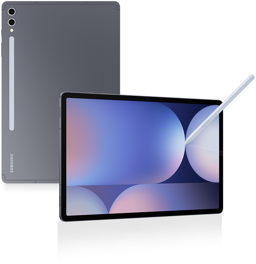 Picture of Picture of Tablet Samsung Galaxy Tab S10+ 12.4" (12 / 256GB) 120Hz 5G WiFi Moonstone Gray