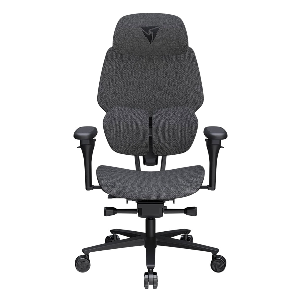 Picture of Picture of Silla Gaming Ergonomica ThunderX3 FLEX Pro, Apoio lombar 360 graus - Loft Dark Grey