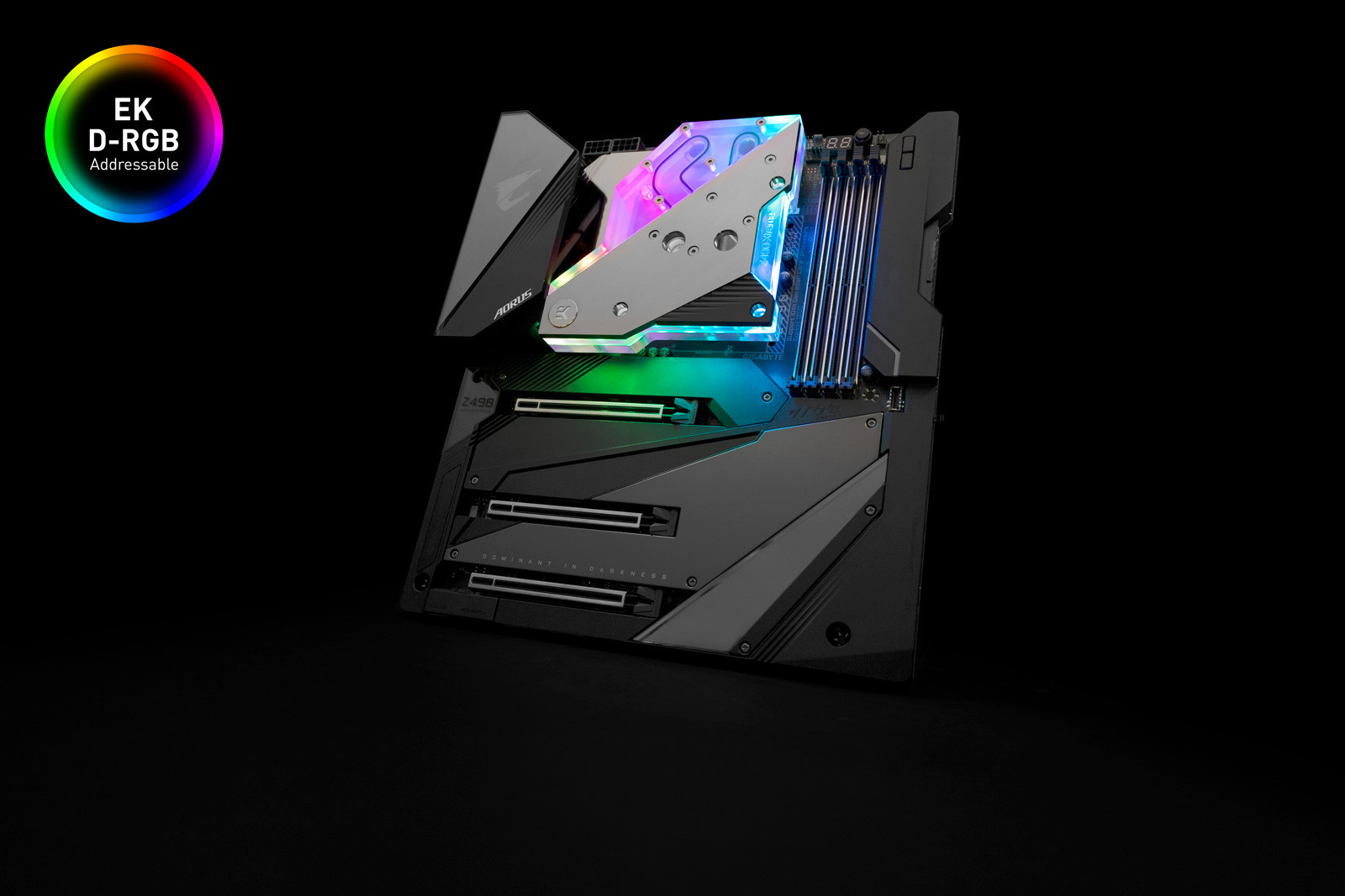 EKWB - Bloque VGA EKWB Quantum Momentum AORUS Z490 Xtreme D-RGB - Acryl