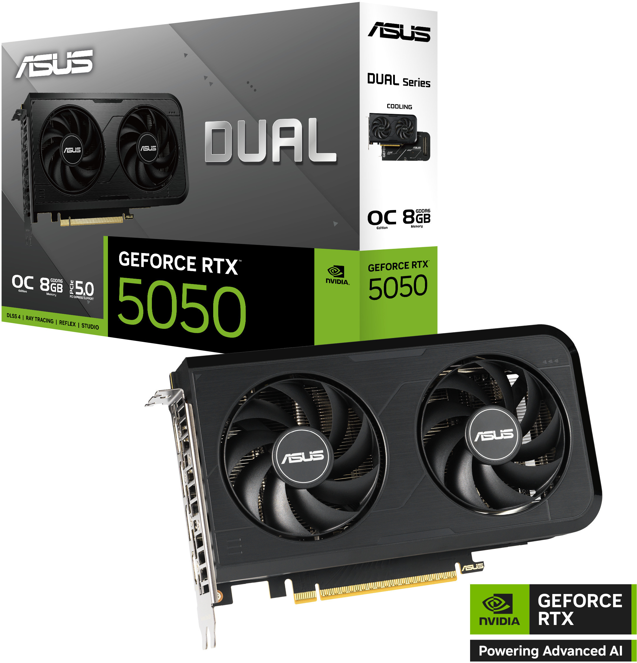 Picture of Picture of Tarjeta Gráfica Asus GeForce® RTX 5050 Dual OC 8GB GDDR6 DLSS4