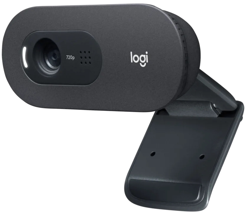Logitech - Webcam Logitech C505 HD 720p