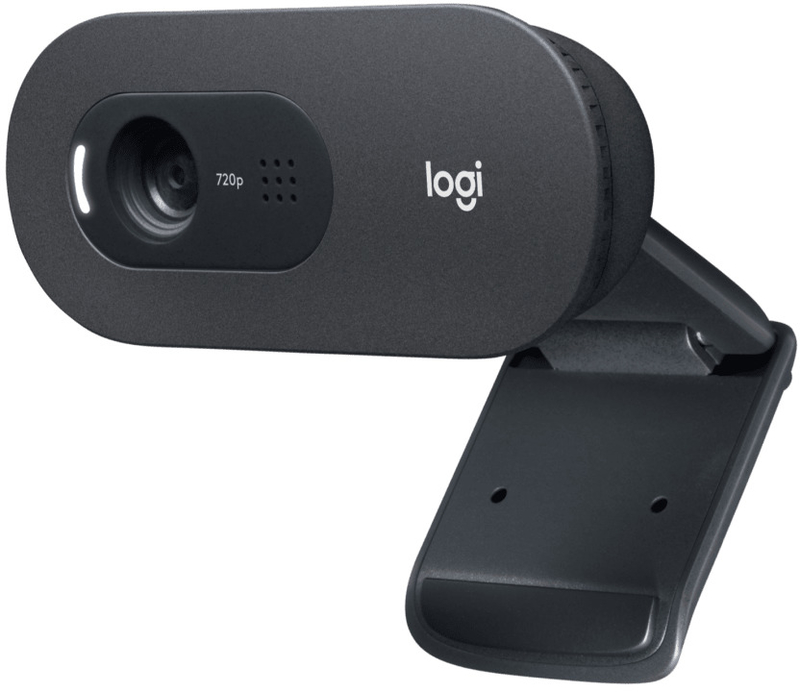 Logitech - Webcam Logitech C505e HD 720p