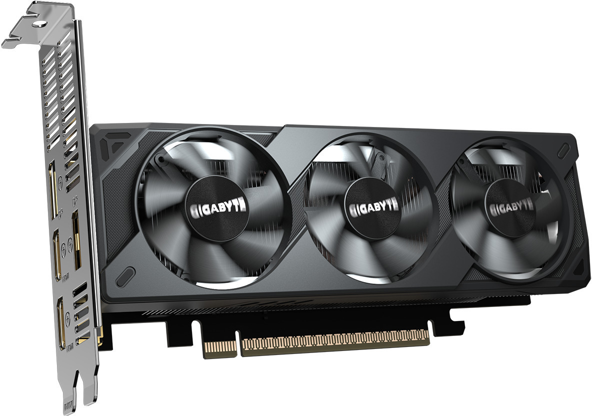 Gigabyte - Tarjeta Gráfica Gigabyte GeForce® RTX 5050 OC LP 8GB GDDR6 DLSS4