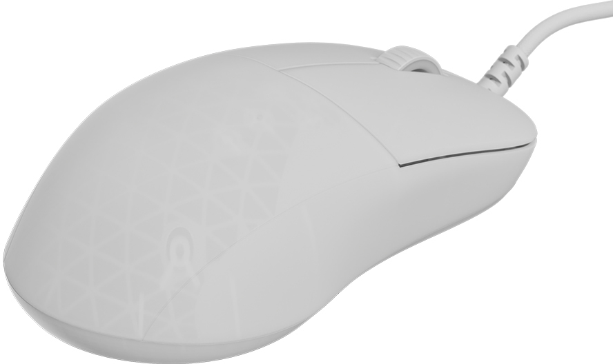 Endgame Gear - Ratón Gaming Endgame Gear XM2 8k Gaming Mouse - White Frost