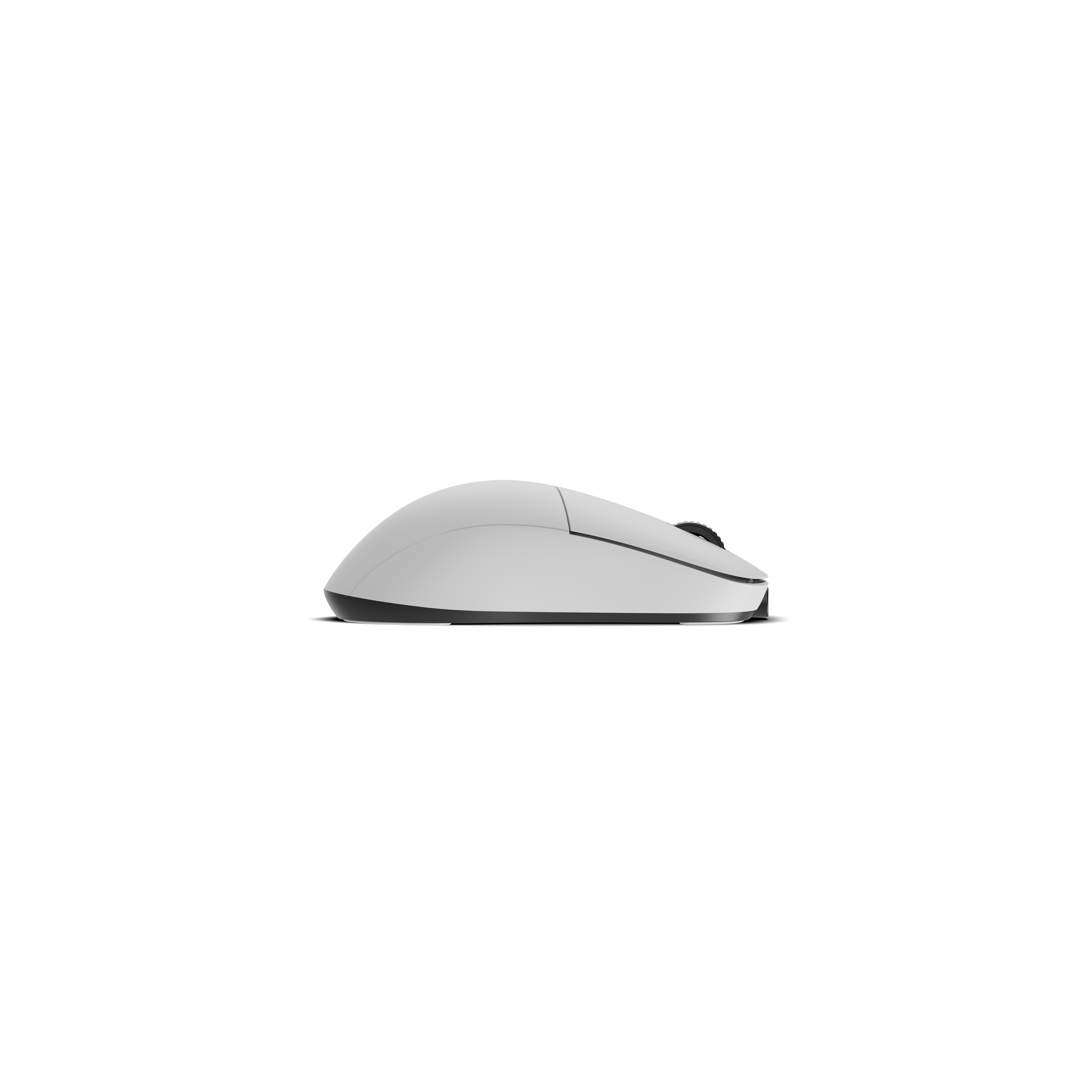 Endgame Gear - Ratón Gaming Endgame Gear XM2w 4k V2 Wireless - Blanco