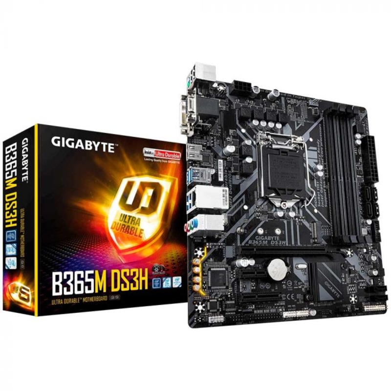 Gigabyte - Placa Base Gigabyte B365M DS3H