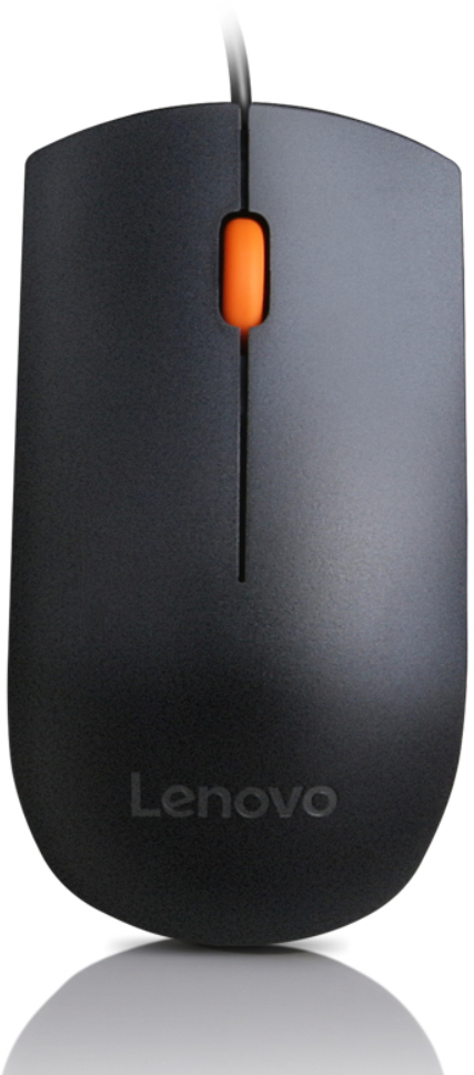 Ratón Lenovo 300 Preto USB