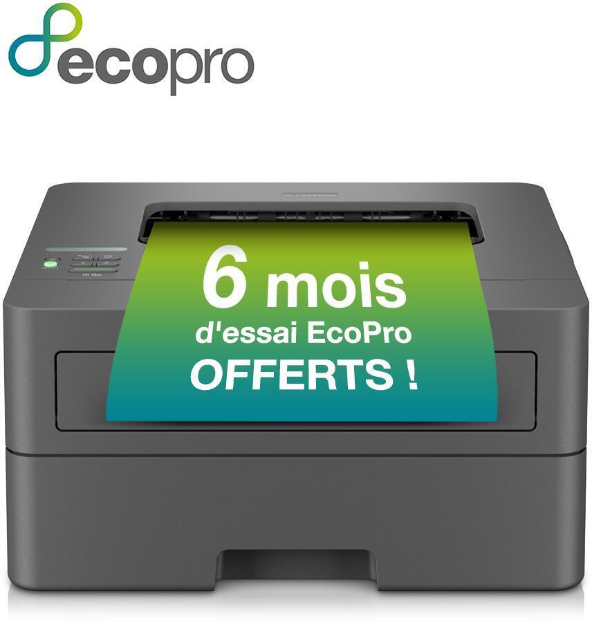  - Impresora Láser Brother HL-L2400DWE