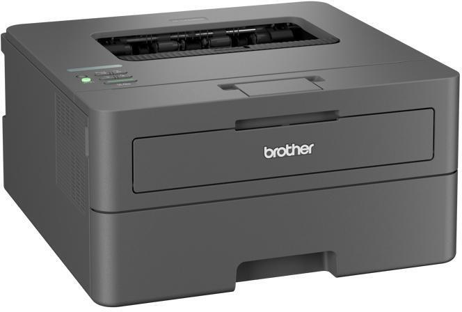  - Impresora Láser Brother HL-L2445DW