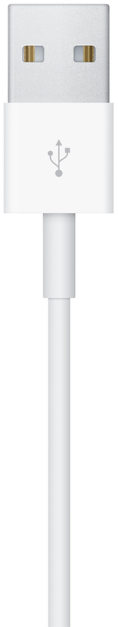 Apple - Cable Magnético de Carga Rápida para Apple Watch 1m Blanco