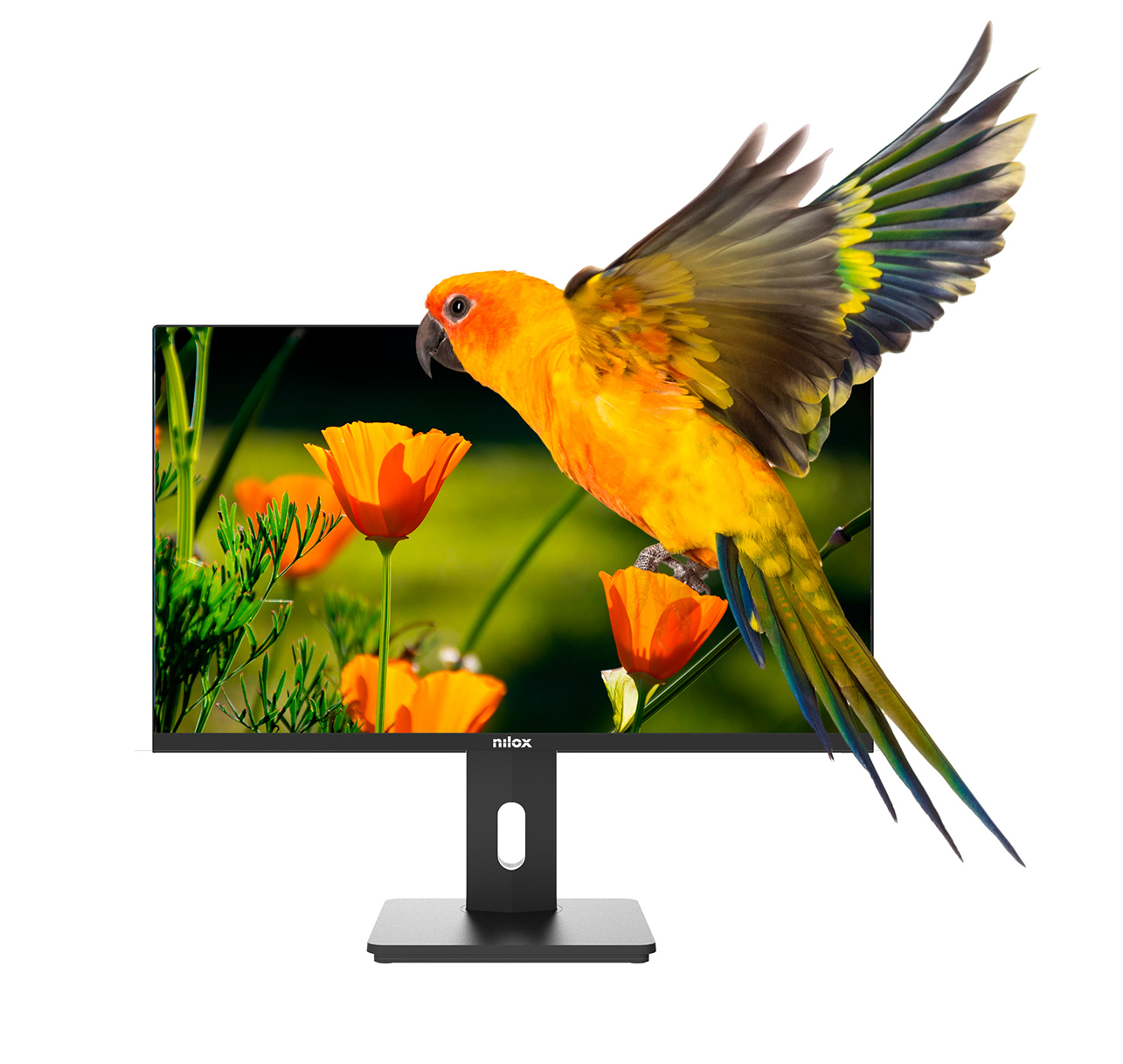 Nilox - Monitor Nilox 24" 24REG02 IPS FHD 75Hz 4ms